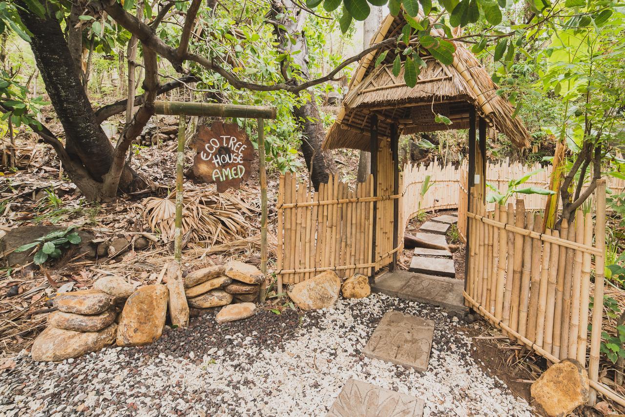 Eco Tree House Amed Hotel Bali ภายนอก รูปภาพ