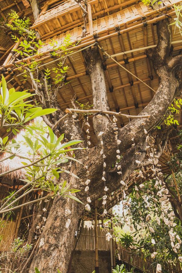 Eco Tree House Amed Hotel Bali ภายนอก รูปภาพ