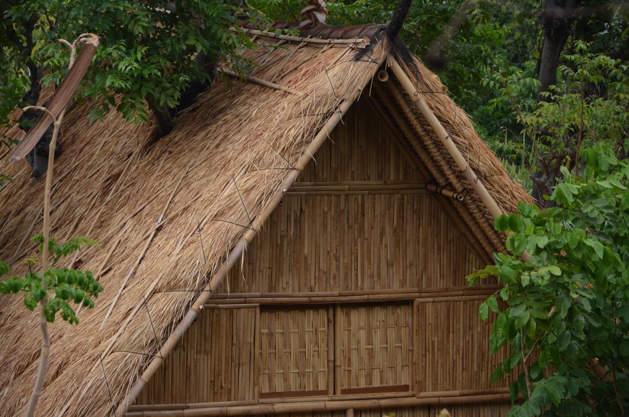 Eco Tree House Amed Hotel Bali ภายนอก รูปภาพ