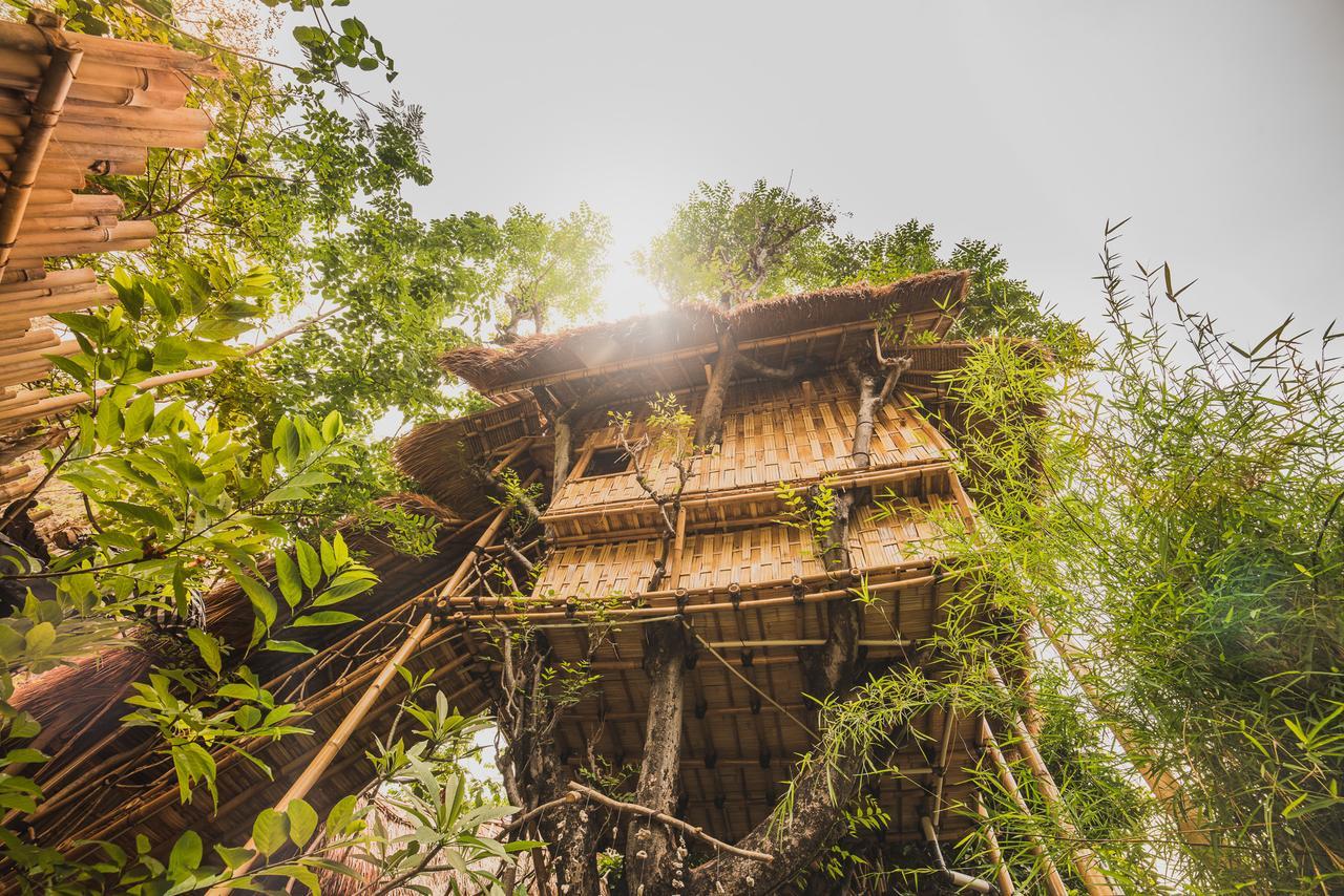 Eco Tree House Amed Hotel Bali ภายนอก รูปภาพ