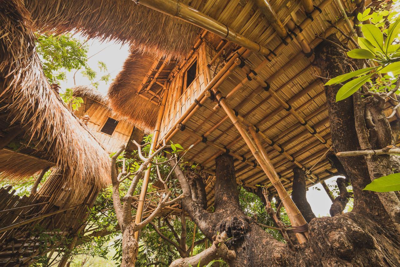 Eco Tree House Amed Hotel Bali ภายนอก รูปภาพ