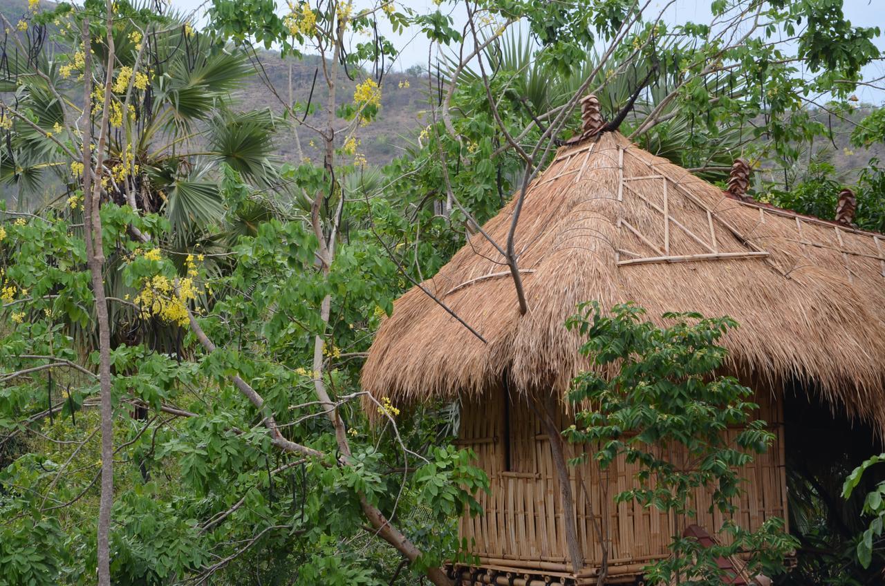 Eco Tree House Amed Hotel Bali ภายนอก รูปภาพ